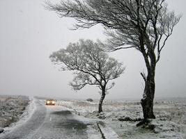 More helpful winter driving tips and techniques image