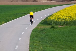 Sharing the road with cyclists: summer road safety tips image